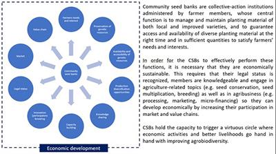 Strengthening the economic sustainability of community seed banks. A sustainable approach to enhance agrobiodiversity in the production systems in low-income countries